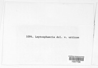 Image Associated With the Occurence